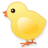 chick.png