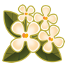 guihua.png
