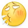 Y.wb13.png