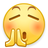 Y.wb21.png